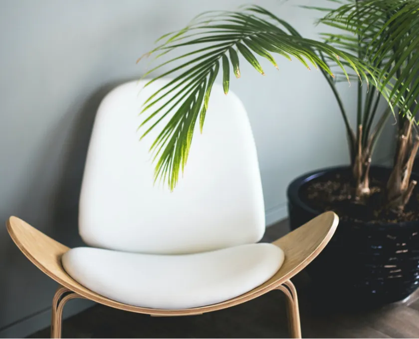 Pharetra Etultrices Neque Ornare Aenean post img 7 optimized