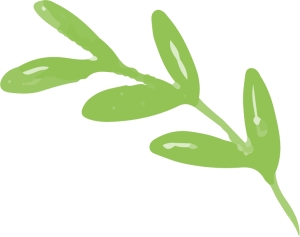 leaves free img 300x237.png