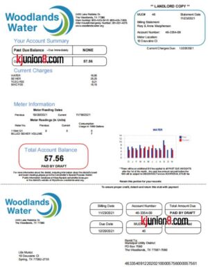 德克萨斯州水电账单