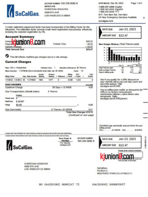美国加利福利亚-洛杉矶-天燃气账单