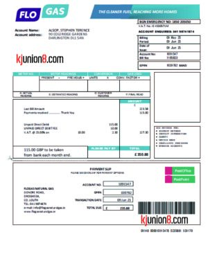 爱尔兰共和国天然气账单