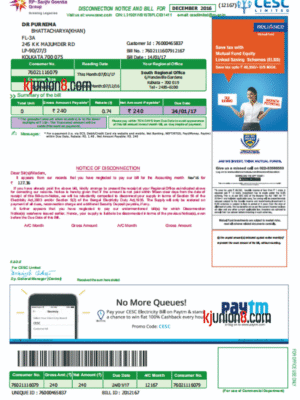 印度电费账单 印度电费账单