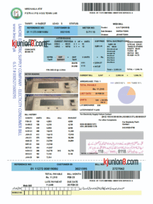 巴基斯坦电费账单 巴基斯坦电费账单