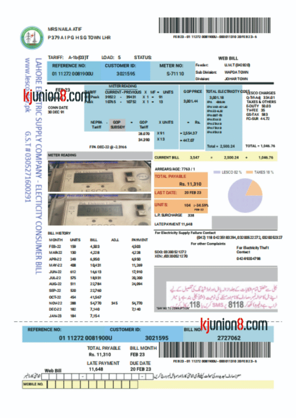巴基斯坦电费账单