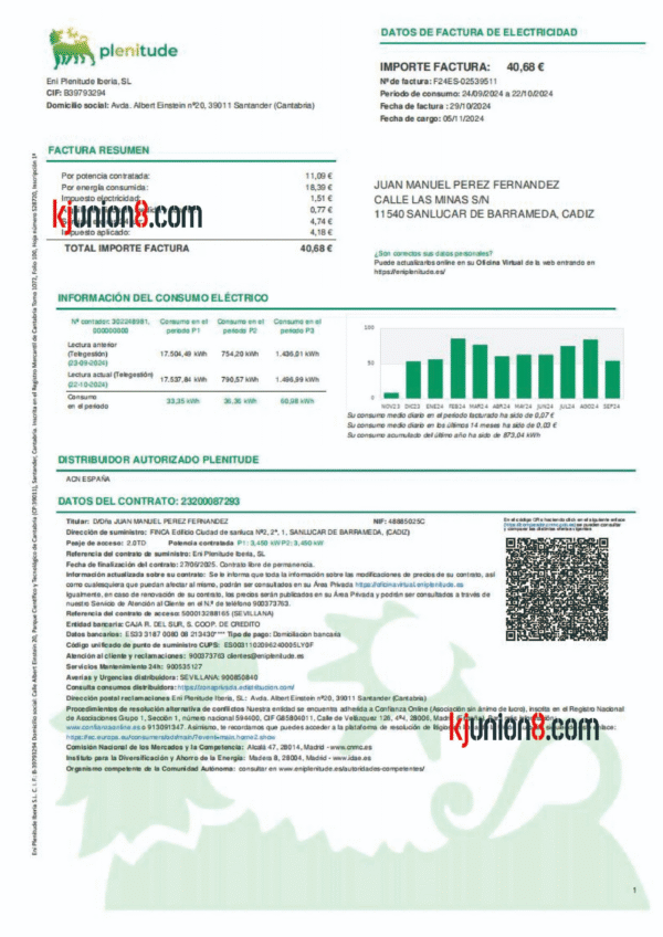 以色列电费账单
