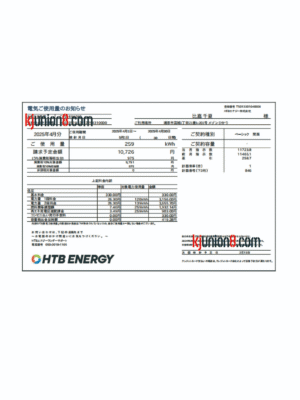 日本电费账单 日本电费账单