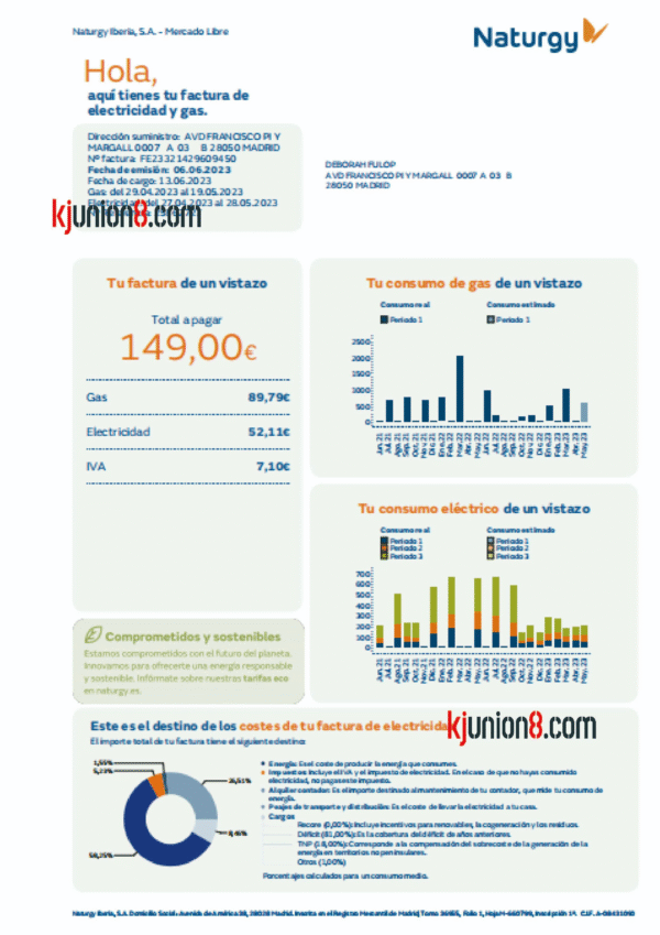 西班牙电费账单