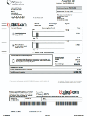 新加坡水费账单 新加坡水费账单
