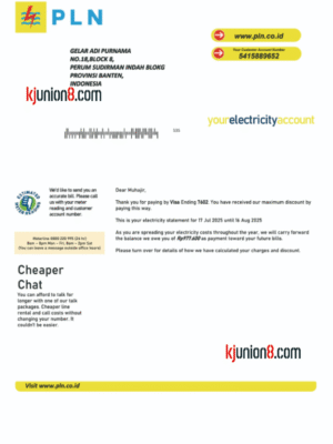 印度尼西亚电费账单 印度尼西亚电费账单
