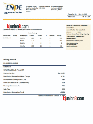 玻利维亚电费账单 玻利维亚电费账单