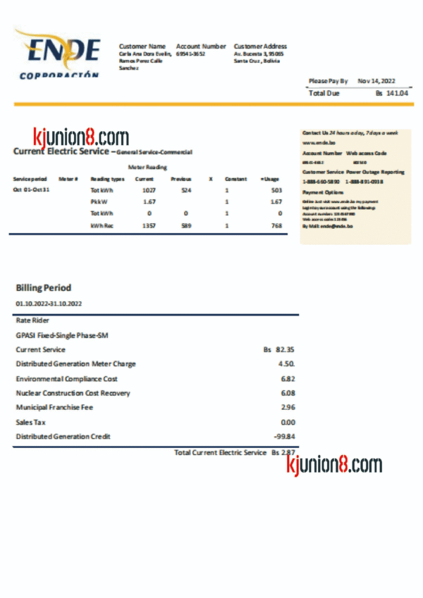 玻利维亚电费账单