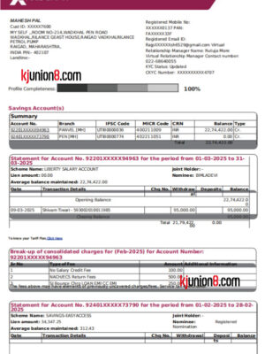 AXIS-BANK-(印度爱西施银行）对账单