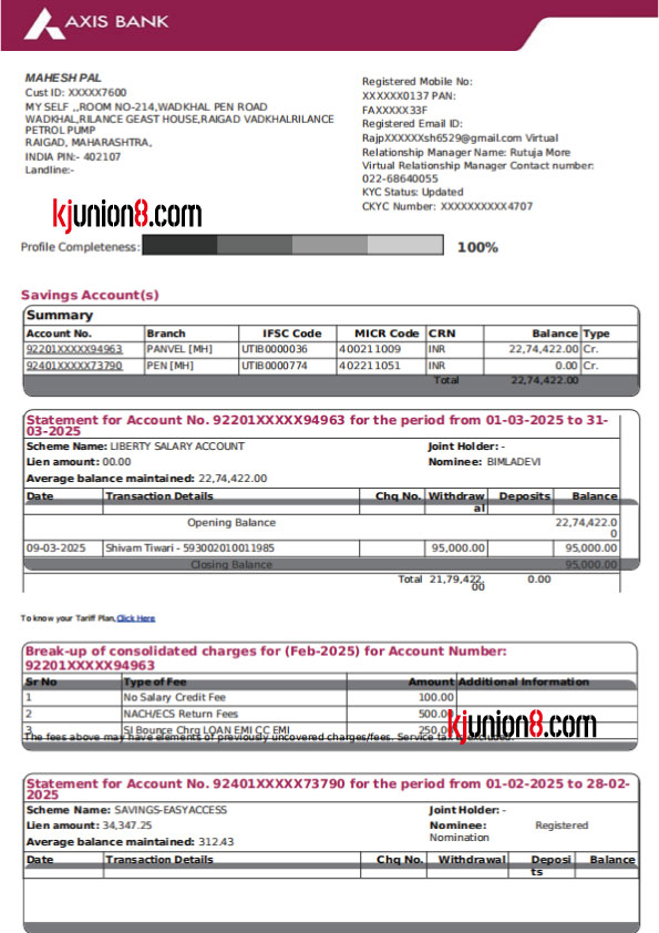 AXIS-BANK-(印度爱西施银行）对账单