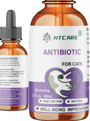 US Antibiotics for Cats