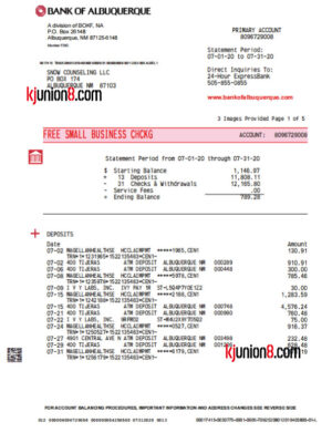 BANK-OF-ALBUQUERQUE-支票账户对账单