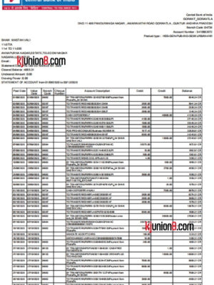 Central-Bank-ofIndia（印度中央银行）银行流水