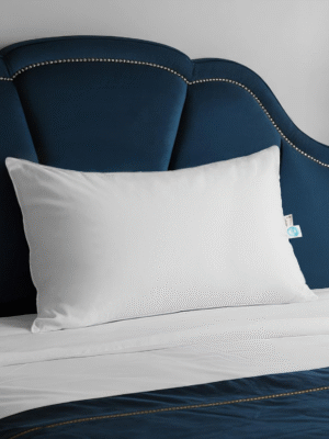 DE  UK Goose Down Pillow