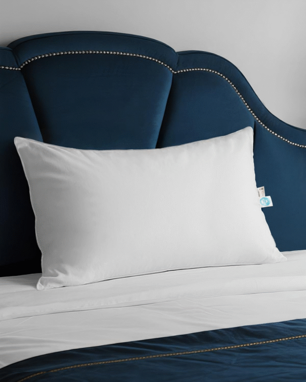 DE  UK Goose Down Pillow