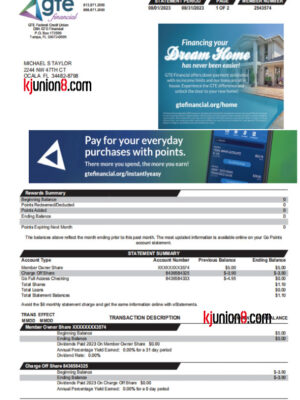 GTE Financial（信用社对账单）