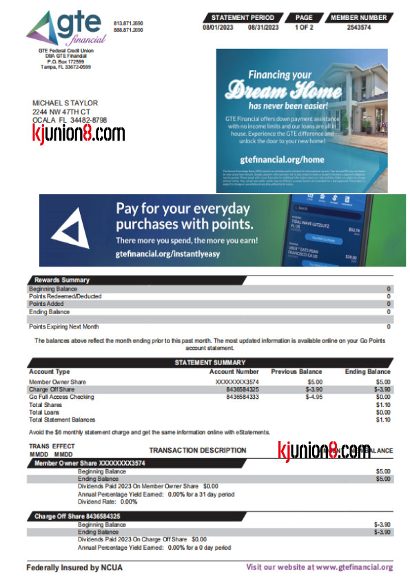 GTE Financial（信用社对账单）
