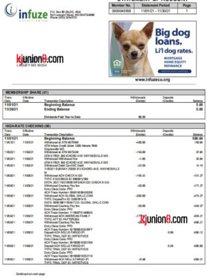 Infuze-Credit-Unio(美国密苏里信用合作社）账户对账单