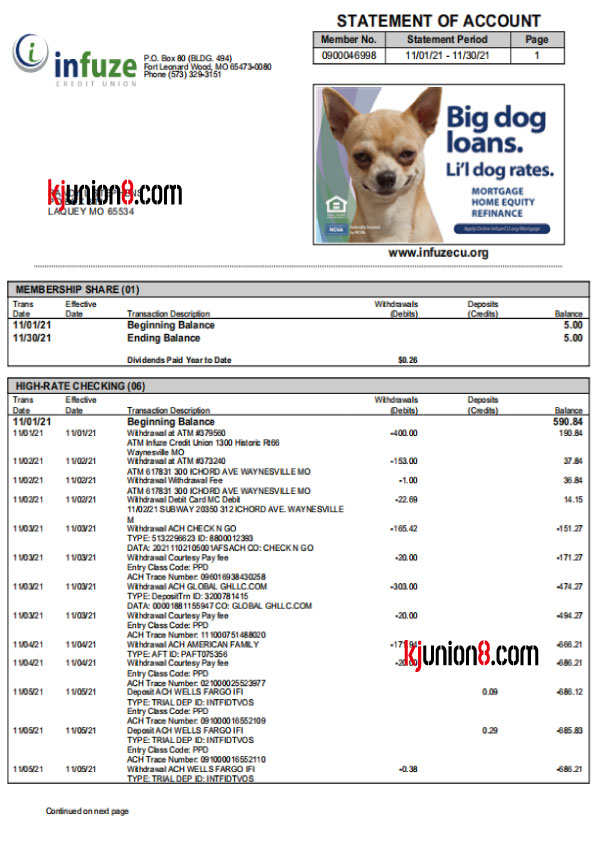 Infuze-Credit-Unio(美国密苏里信用合作社）账户对账单
