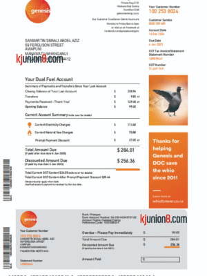 新西兰电费和燃气账单 新西兰电费和燃气账单