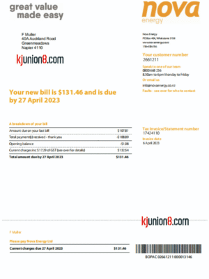 新西兰电费账单 新西兰电费账单