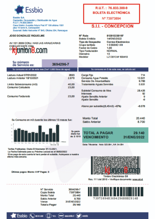 智利水费账单