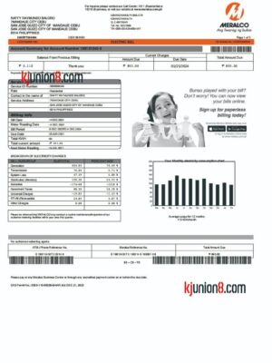 菲律宾电费账单 菲律宾电费账单