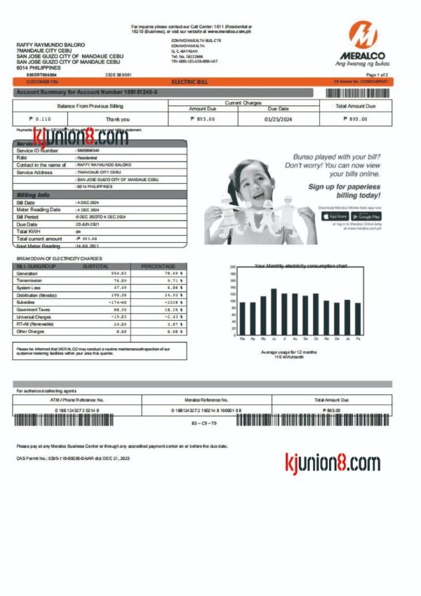 菲律宾电费账单