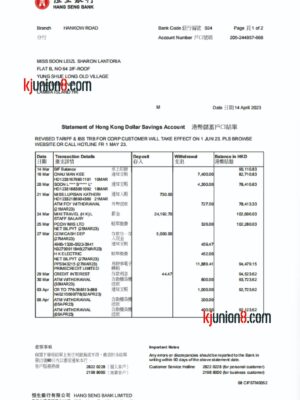 香港恒生银行流水账单 香港恒生银行流水账单