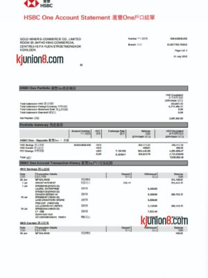 香港汇丰银行流水账单 香港汇丰银行流水账单