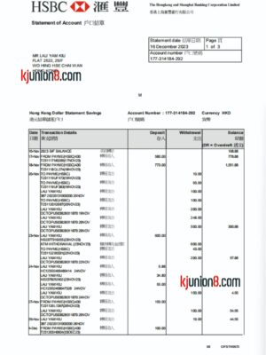 香港汇丰银行流水账单 香港汇丰银行流水账单