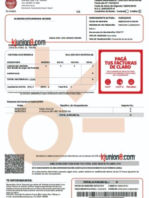 巴拉圭共和国电信宽带发票账单 巴拉圭共和国电信宽带发票账单