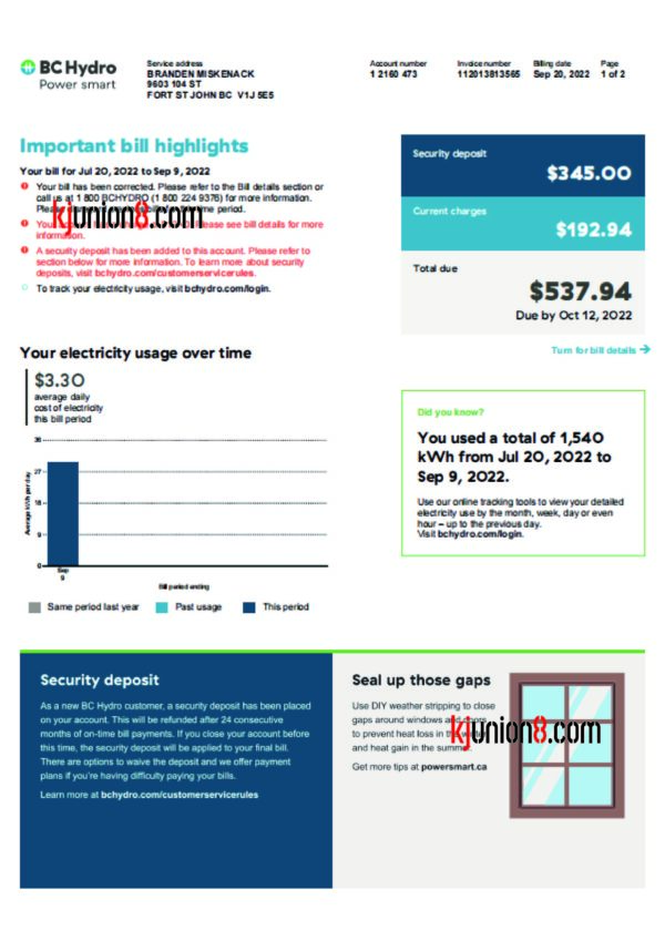不列颠哥伦比亚水电账单 加拿大不列颠哥伦比亚省水电账单