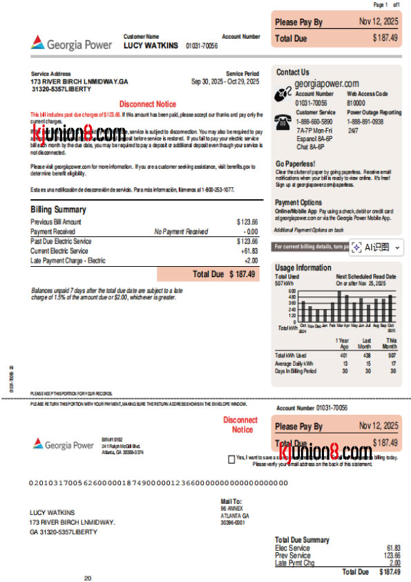 乔治亚州 美国佐治亚州电力账单