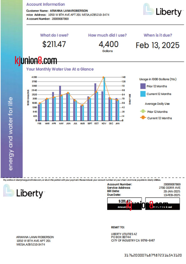 亚历桑那州 美国水费账单