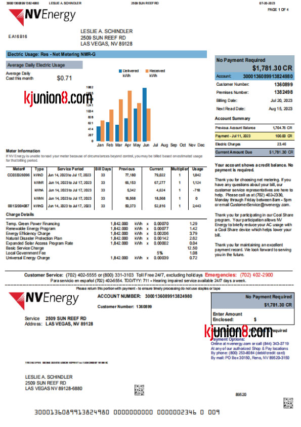 内华达州拉斯维加斯电 美国内华达州电费账单