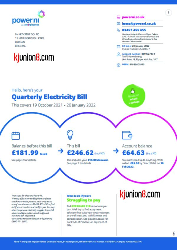 加拿大电费账单