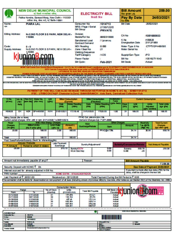 印度新德里电力账单 印度新德里电力账单
