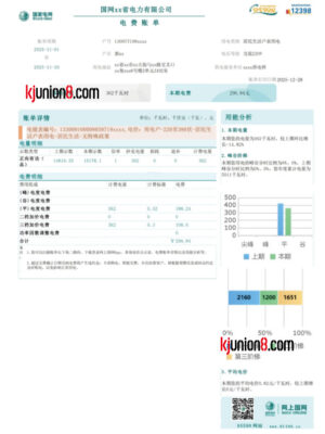 国家电网电费账单