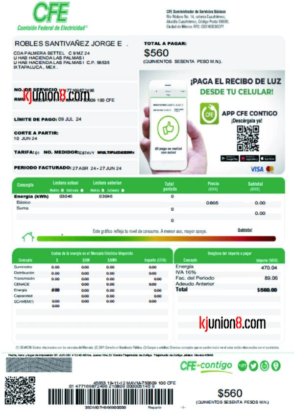 墨西哥电力账单