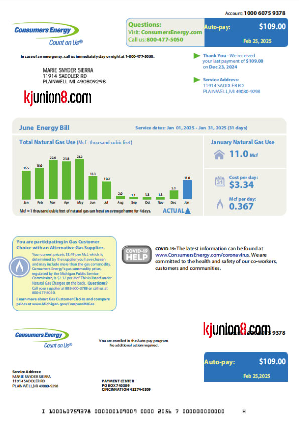 密歇根州 美国密歇根州电力账单