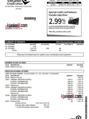 Virginia Credit Union，VACU银行对账单