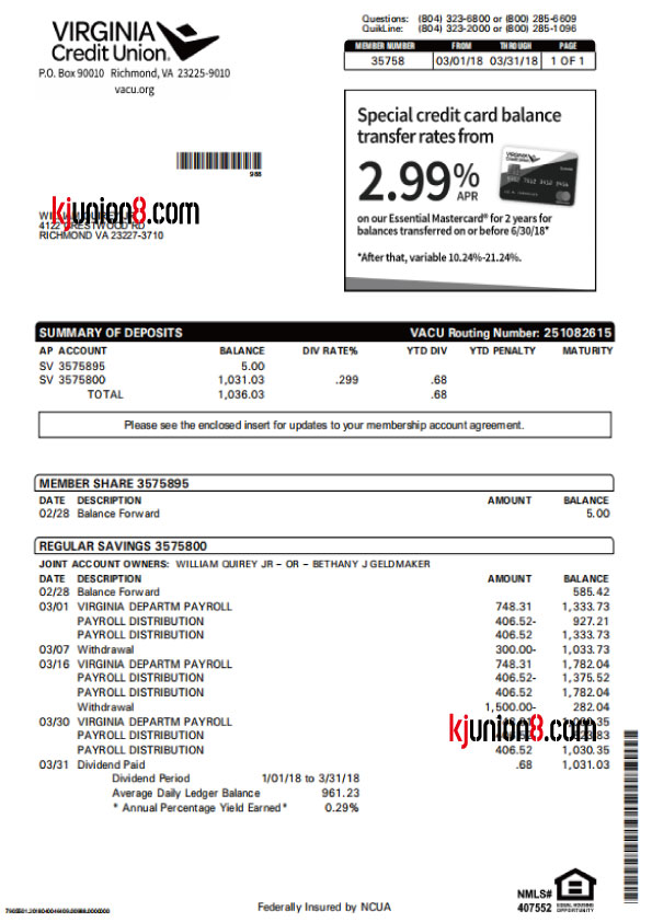 Virginia Credit Union,VACU银行对账单
