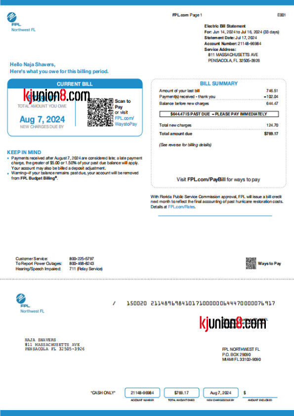 美国弗罗里达州电费账单