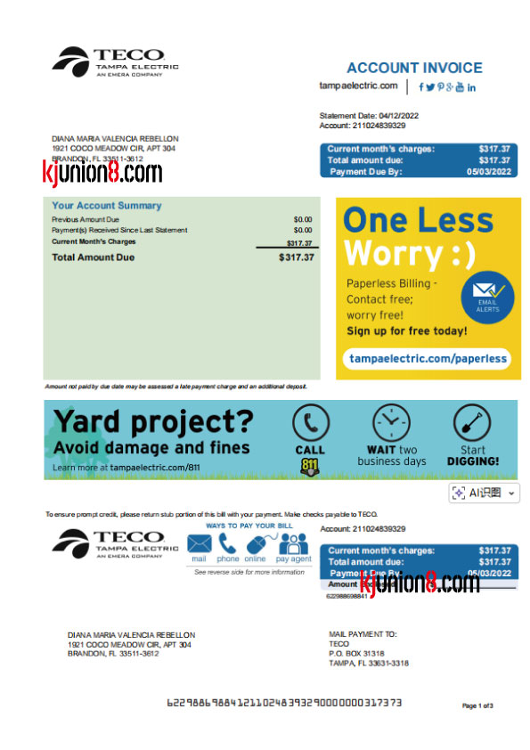 美国弗罗里达州电费账单