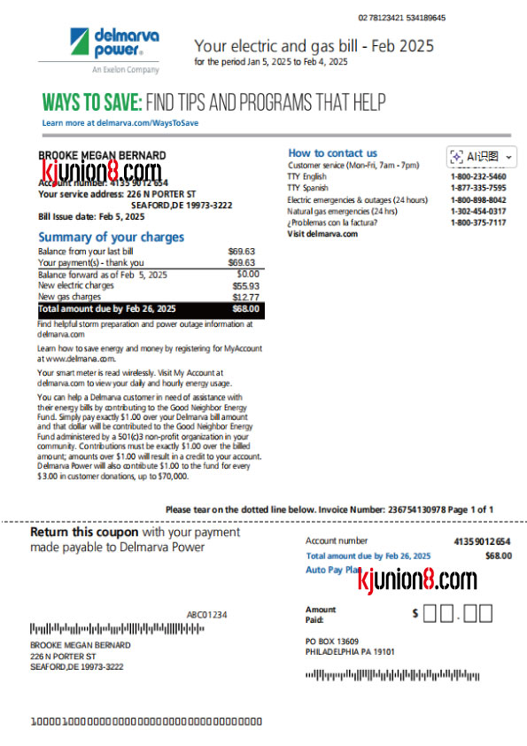 德拉瓦州电费账单 美国德拉瓦州(特拉华州)电费账单