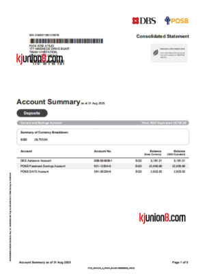 星展银行（新加坡）银行对账单